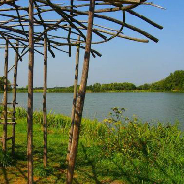 Lac de Rillé - Aude Journot - Touraine Nature